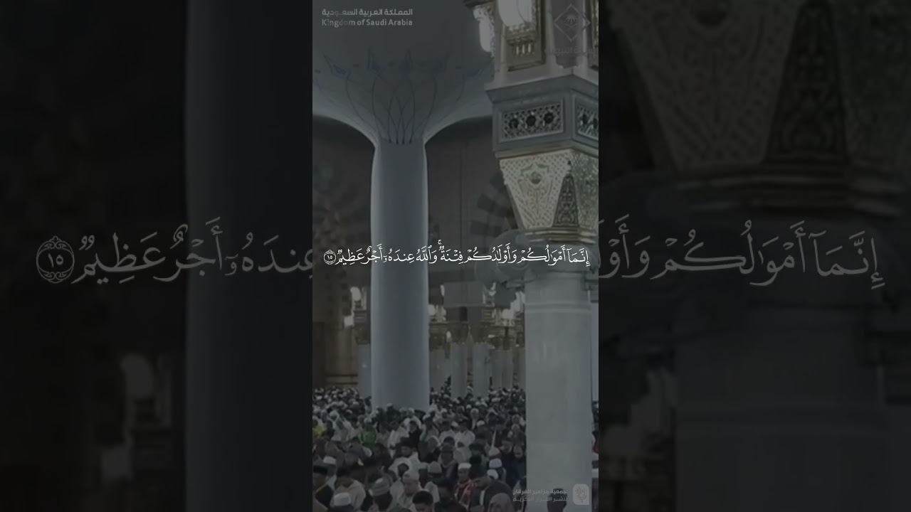 مقتطف من تلاوة فضيلة الشيخ #خالد_المهنا من صلاة الفجر 11 جمادى الآخرة 1447هـ
