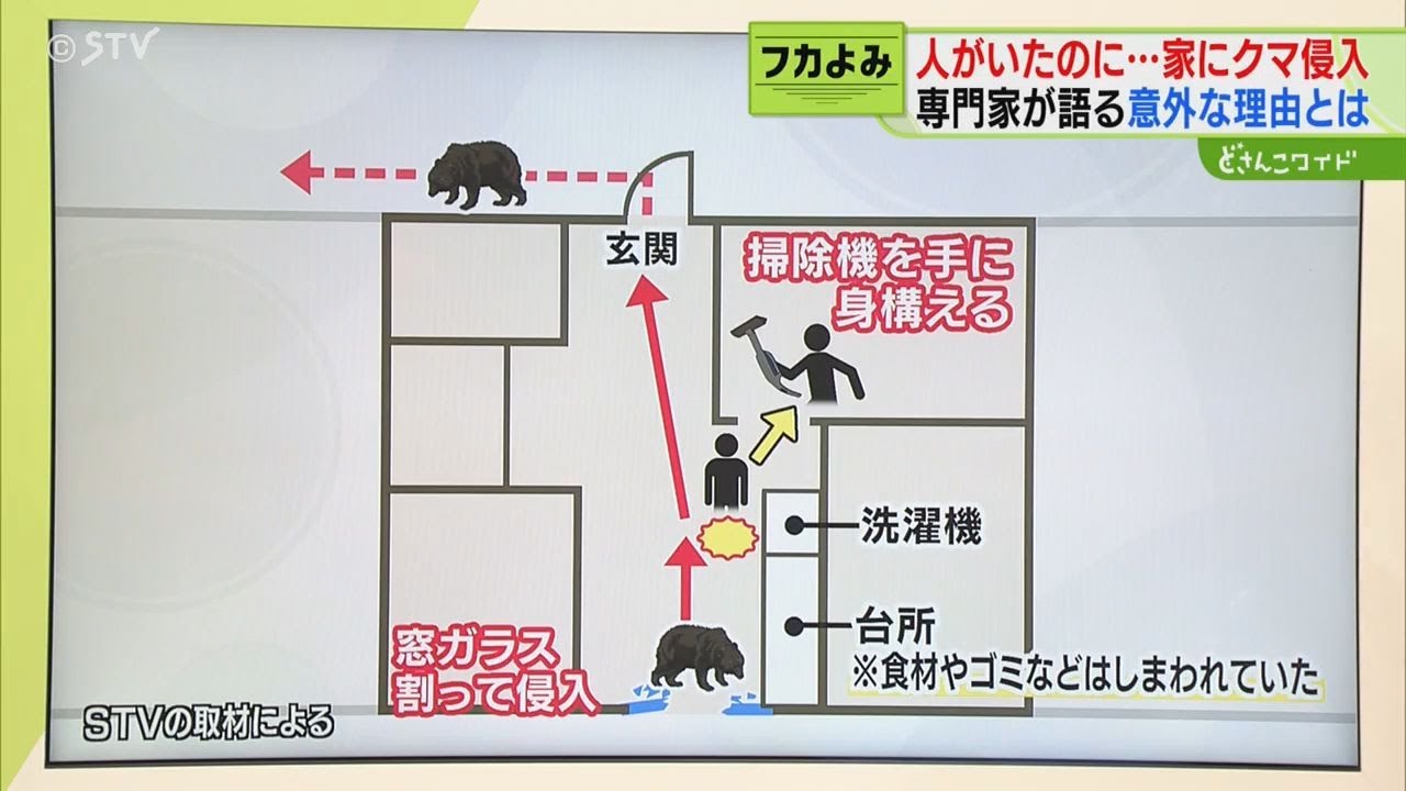 ai.house 白いままクマ Oh, I thought it was a bear