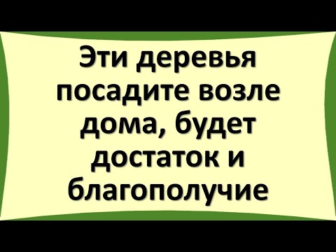 Видео: Всичко за клен като дърво