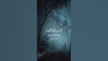 القارى عبدالرحمن مسعد|| تلاوة جميلةللقرآن 🩵 #اسلام #راحة_نفسية #يوتيوب #قران_كريم