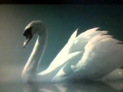 ნინო კემულარიას პოეზია. ლექსი: როგორ გავუძლო?..