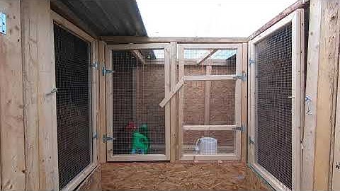 Tsev Qaib (Chicken Coop)
