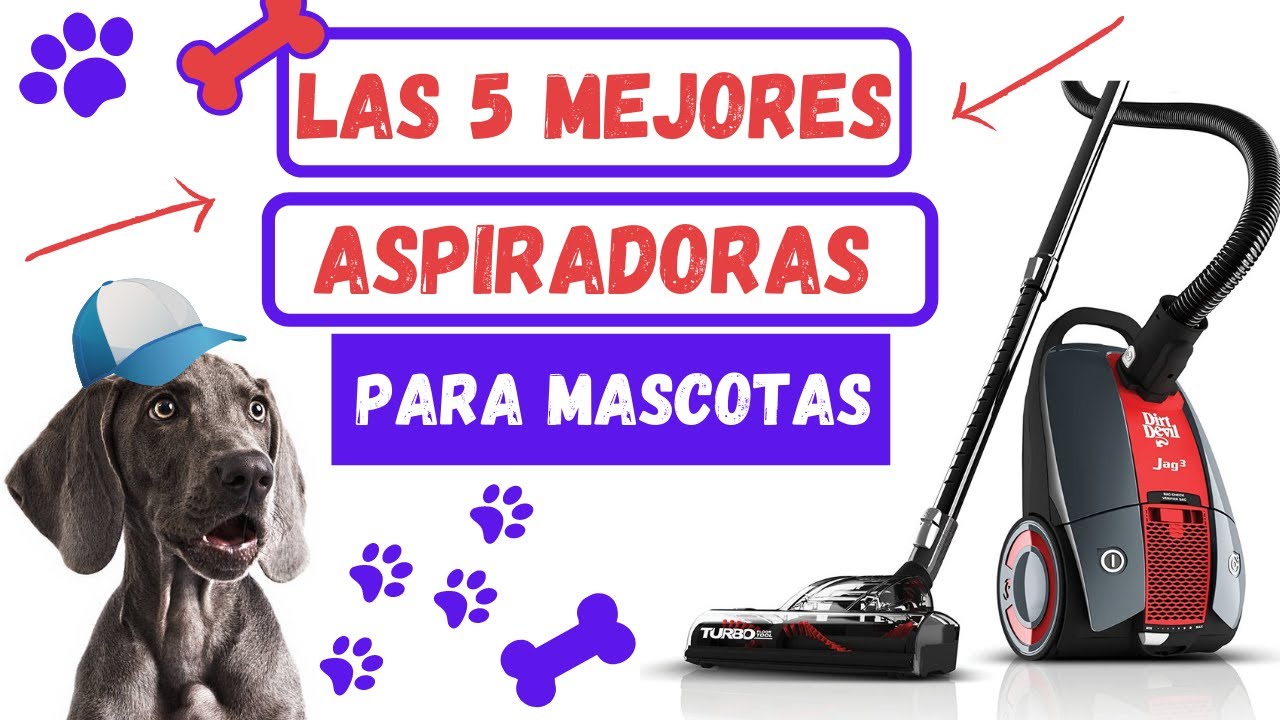 Cuál es la mejor aspiradora para los pelos de perro?