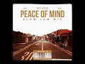 DJ Ace - Peace of Mind Vol 46 (Slow Jam Mix)