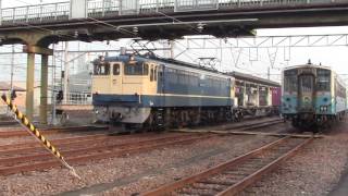 (貨物列車)高速貨物3075列車(岡)EF65-1119