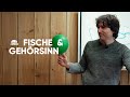 HÖREN Fische mich?