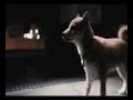 موسيقى حزينة جدا تبكي الحجر لعشاق الحزن
