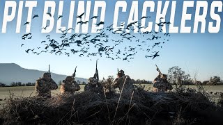 INCREDIBLE 9 MAN Limit of Geese in 15 Minutes (Cacklers in Oregon)