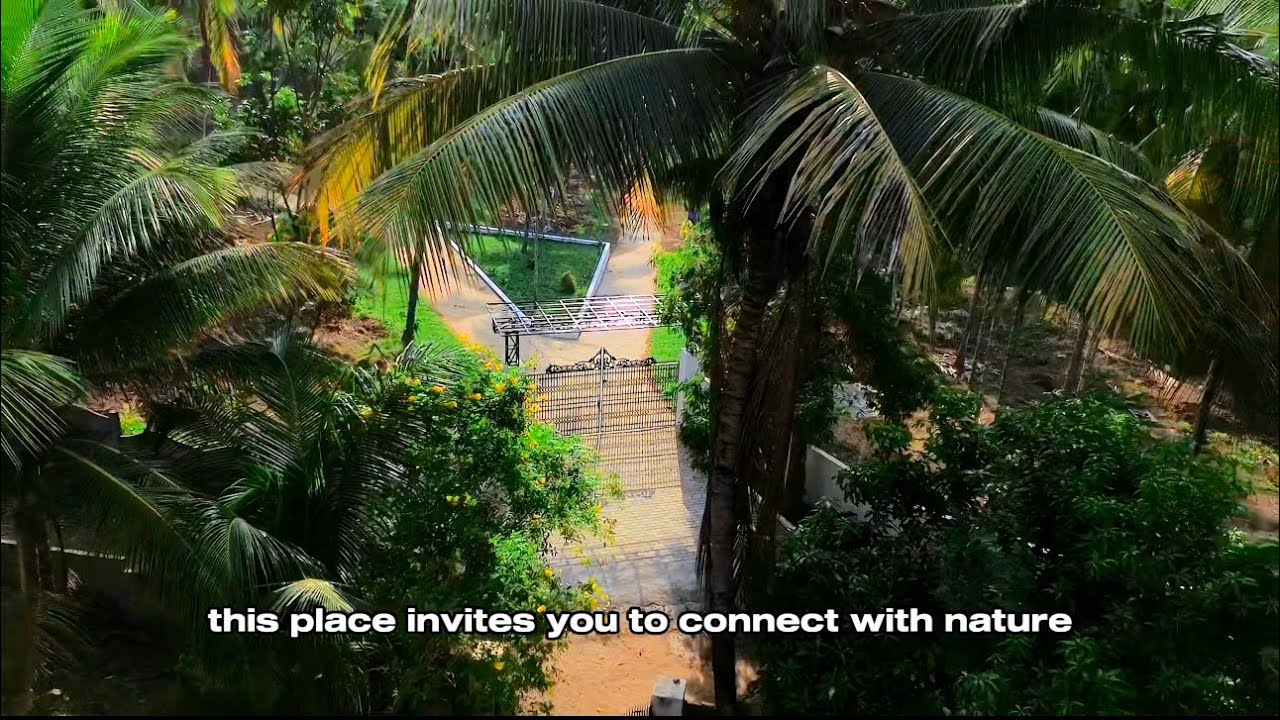 Beautiful 11 acre land for sale in palakkad ottapalam YouTube