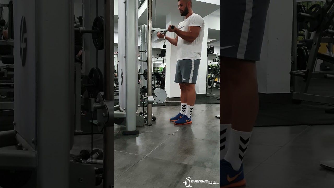 Biceps pregib na sajli šipkom - Đorđe Nikolić