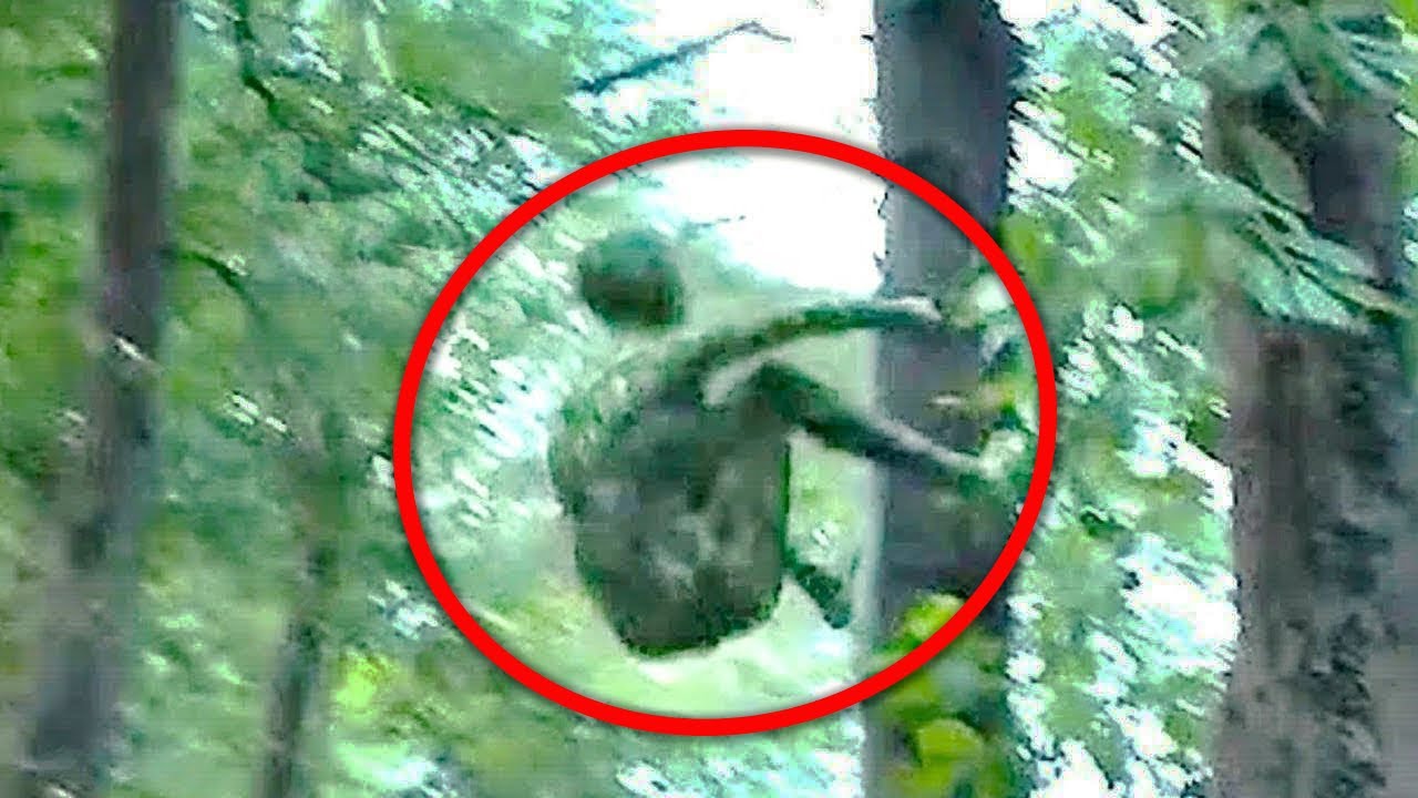 15 Scary Videos Making Viewers Alert