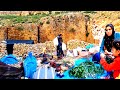 Nomadic life from setting up a tent to harvesting mountain vegetables