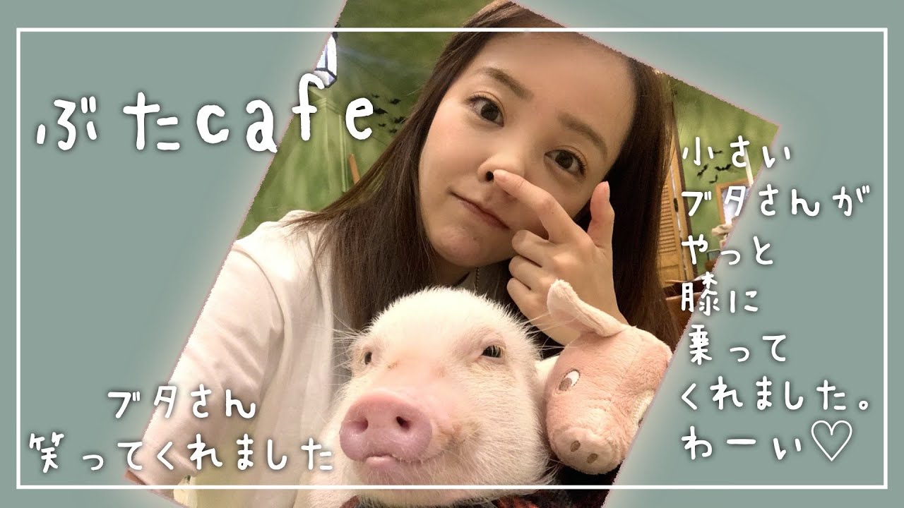 板野友美 豚カフェ で豚さんと戯れる ナリクリ 板野友美 豚カフェ で豚さんと戯れる ナリクリ