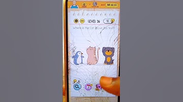 WHERE IS THE CAT ABOVE THIS TEXT #level36 #braintest #shorts