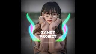 DJ (selawmo) viral cuma jago basindir 