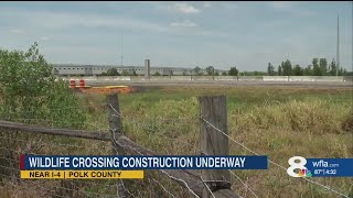 Florida building its first dedicated wildlife crossing over I-4 in Polk County
