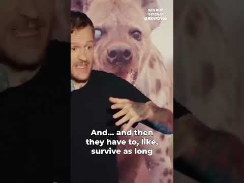 I love this show! This is from my hour special 'HYENA', which is available now for FREE on YouTube.