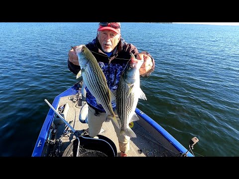 Striper Fishing, Scooling & Deep Water, Highlight Clips 