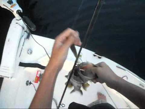 Bass Fishing Lake Ida episode 32