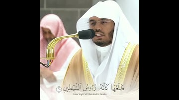 ياسر الدوسري{ أذالك خير نزلا أن شجرة الزقوم}سورة الصافات