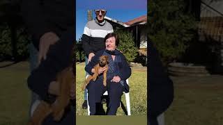 Irish Terriers of South Africa and 2021 pups by Ailimick Irish Terriers Southern Africa 41 views 1 year ago 1 minute, 6 seconds