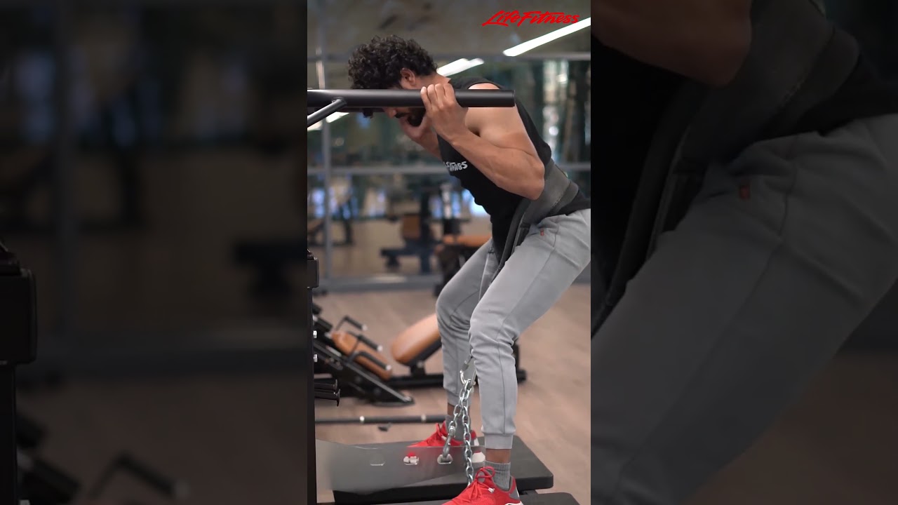 Life Fitness Plate Loaded Belt Squat Machine, Life Fitness India