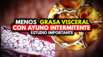 ¿Perderá grasa abdominal el ayuno intermitente?