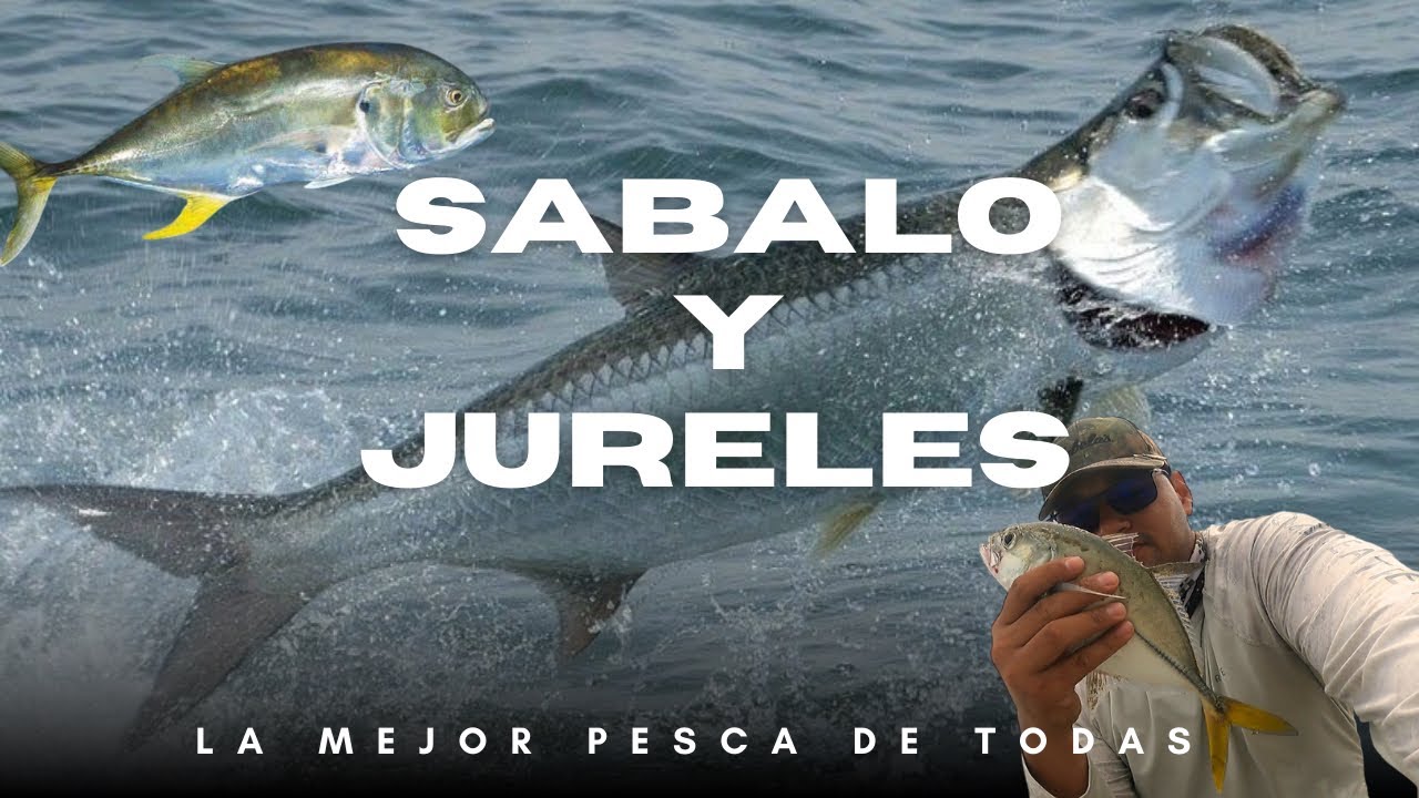 Pesca de SÁBALOS y JURELES | PESCA de PLAYA en HONDURAS 