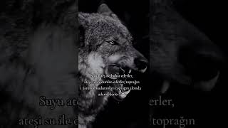 Ateş Suyu Kaynatır Su Ateşi Söndürür. Resimi