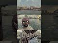 #dubai #abra #creek #arablife