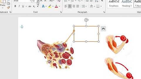 Annotating in Word video
