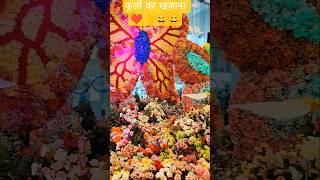 फूलों का खजाना ❤️#trending #flooowers #infintymallandheri #travelshorts #viralshort #ytshortsvideo