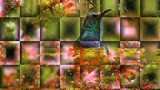 Awakening Spring - long version - Beautiful 4K Photos & Soft Piano Music with Bird & Water Sounds screenshot 4