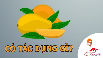 Dinh Dưỡng #5: Trong Xoài có gì? Ăn Xoài có tác dụng gì?