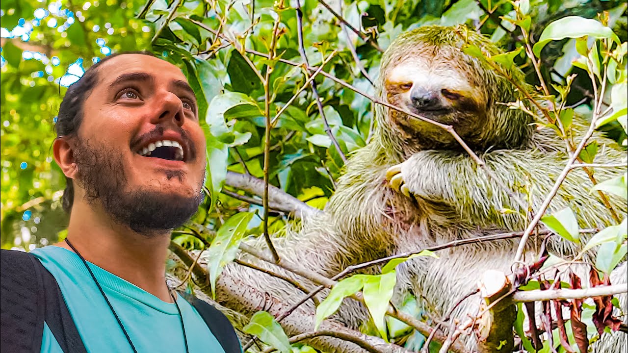 raga... il BRADIPO 🦥 sto maleee