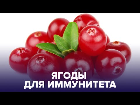 Названы ЛУЧШИЕ ЯГОДЫ для укрепления ИММУНИТЕТА