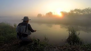 Fly Fishing - Episode 26 - Carp Fly Fishing (잉어 플라이낚시)