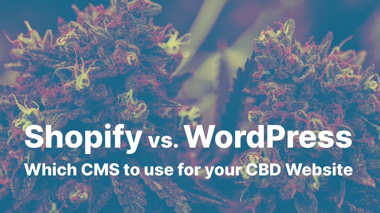Shopify vs. WordPress: Which CMS to use for your CBD Website