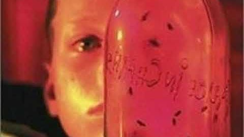 Alice in Chains - Album - Jar of Flies - Nutshell