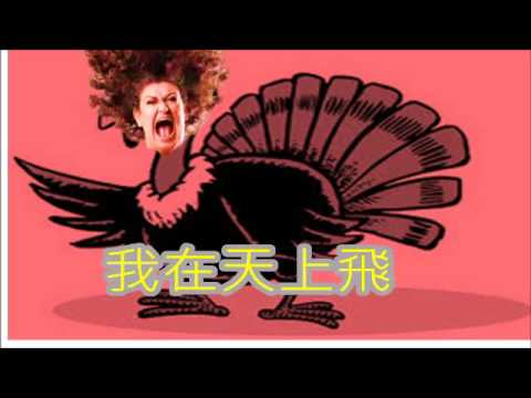 阿嬤在天上飛