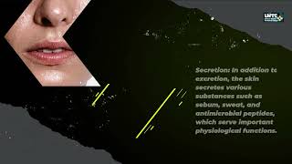 Celebrity Chapter 7 Learning Objective 2  The Six Functions of the Skin Profile