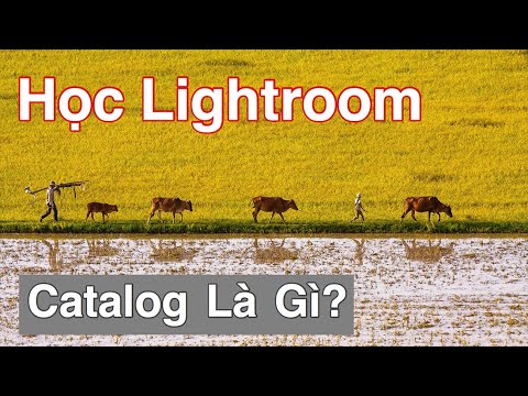 Học Lightroom - 03: Catalog Là Gì? Hiểu Rỏ Và Tạo Catalog Trong Lightroom