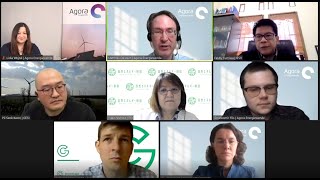 What role for clean hydrogen towards climate neutrality