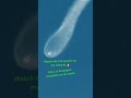 Here are the best highlights from the Falcon 9 launch of the Starlink 17-26 mission from California