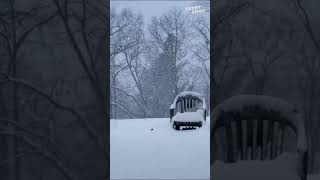 Snowfall Symphony | A Day in the Life of Winter's Blanket