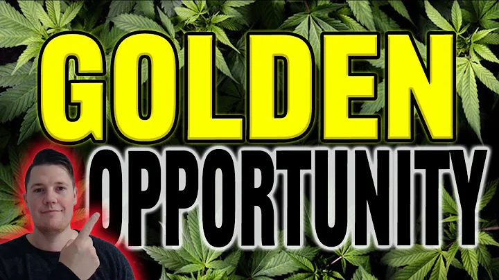 Tilray Brands GOLDEN Opportunity 🚀 TRUMP Rescheduling Cannabis │ TLRY Stock Analysis