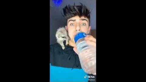 Kyle Thomas with his pet meerkat (mylo)