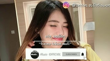 Tresno tekane mati - via Vallen (Music OFFICIAL)
