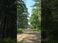 Off road cruising- Herping