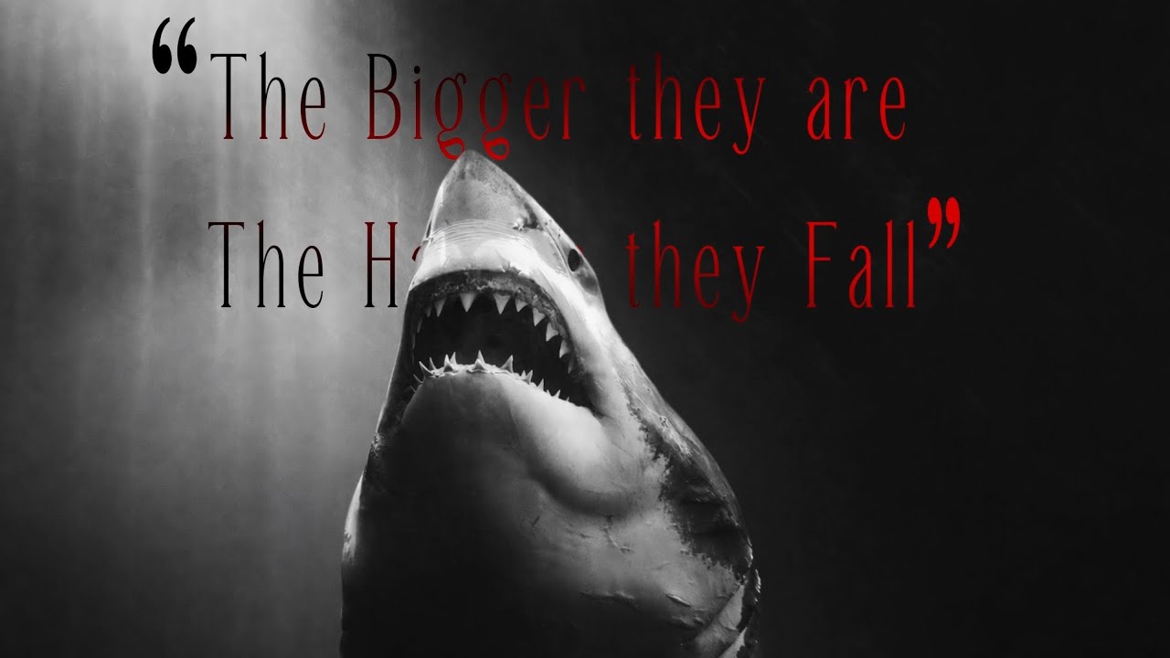Megaladon documentry